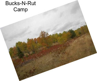 Bucks-N-Rut Camp