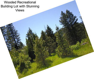 Wooded Recreational Building Lot with Stunning Views