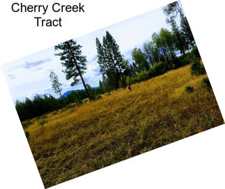 Cherry Creek Tract
