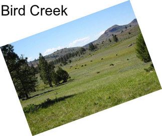 Bird Creek