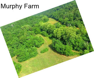 Murphy Farm