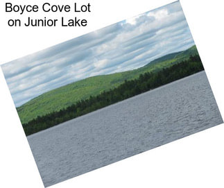 Boyce Cove Lot on Junior Lake