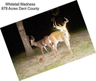 Whitetail Madness 878 Acres Dent County