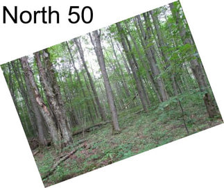 North 50