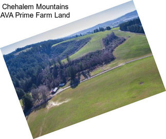 Chehalem Mountains AVA Prime Farm Land