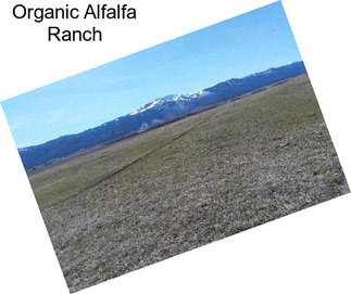 Organic Alfalfa Ranch