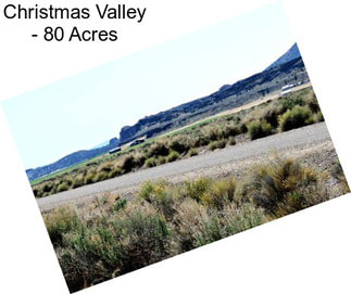 Christmas Valley - 80 Acres