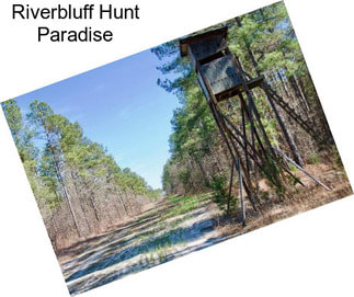 Riverbluff Hunt Paradise