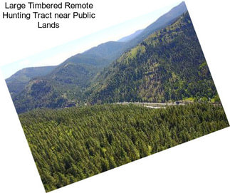 Large Timbered Remote Hunting Tract near Public Lands