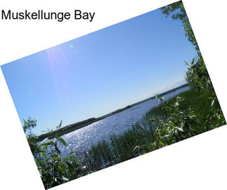 Muskellunge Bay