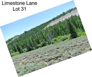 Limestone Lane Lot 31