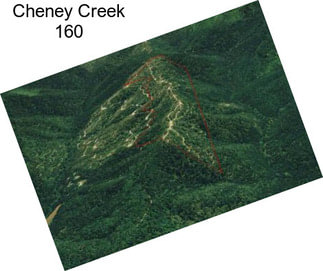 Cheney Creek 160