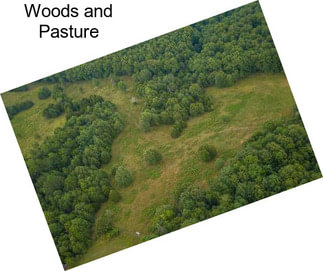 Woods and Pasture