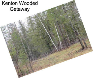 Kenton Wooded Getaway