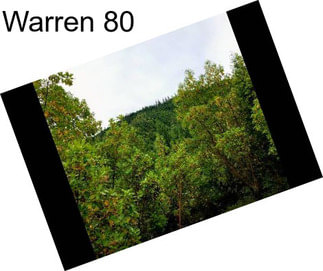 Warren 80