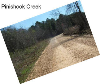 Pinishook Creek