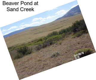 Beaver Pond at Sand Creek