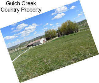 Gulch Creek Country Property