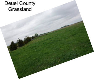 Deuel County Grassland