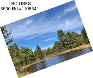 TBD USFS 3500 Rd #1108341