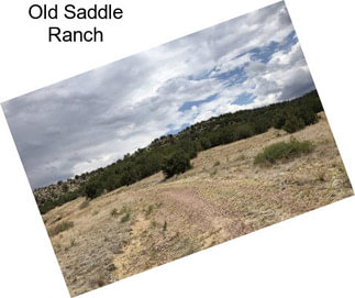 Old Saddle Ranch