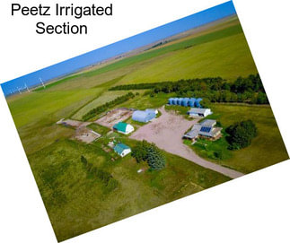 Peetz Irrigated Section