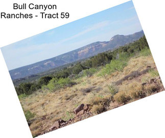 Bull Canyon Ranches - Tract 59