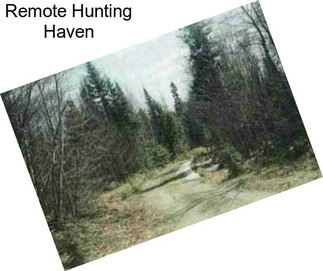 Remote Hunting Haven