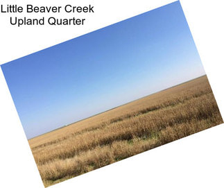 Little Beaver Creek Upland Quarter