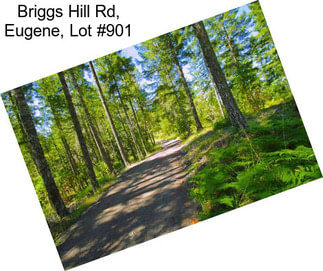 Briggs Hill Rd, Eugene, Lot #901