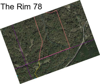 The Rim 78