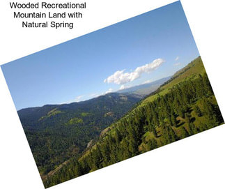 Wooded Recreational Mountain Land with Natural Spring