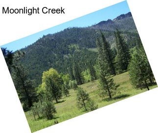 Moonlight Creek