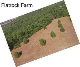 Flatrock Farm