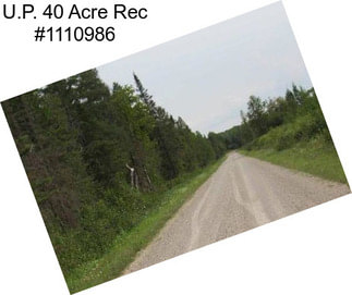 U.P. 40 Acre Rec #1110986