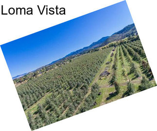 Loma Vista