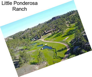 Little Ponderosa Ranch