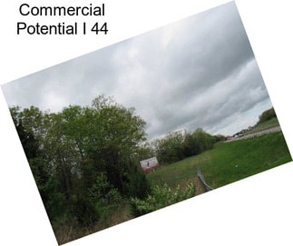 Commercial Potential I 44