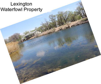 Lexington Waterfowl Property