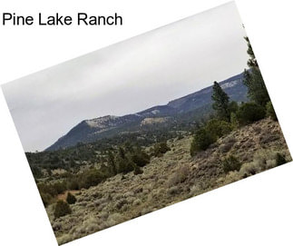 Pine Lake Ranch