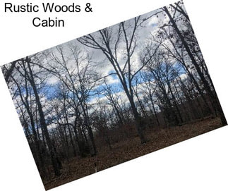 Rustic Woods & Cabin