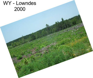 WY - Lowndes 2000