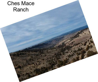 Ches Mace Ranch