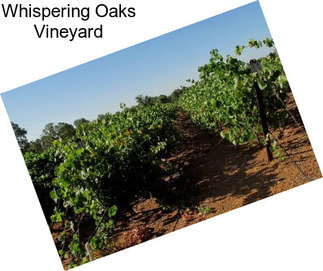 Whispering Oaks Vineyard