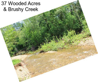 37 Wooded Acres & Brushy Creek