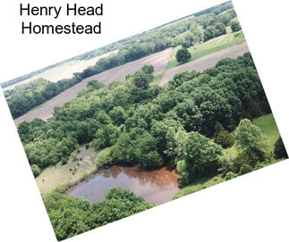 Henry Head Homestead