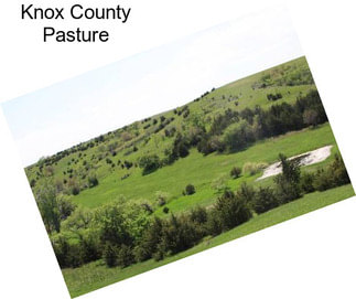 Knox County Pasture