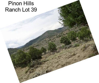 Pinon Hills Ranch Lot 39