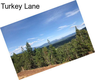 Turkey Lane