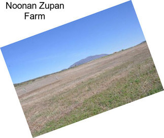 Noonan Zupan Farm